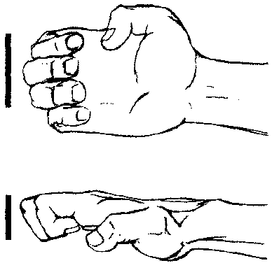 Как правильно держать кулак